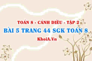 Bài 5 trang 44 Toán 8 Cánh Diều Tập 2